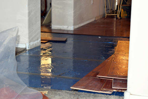 Professional Burst Pipe Cleanup technician working in Winsted, MN